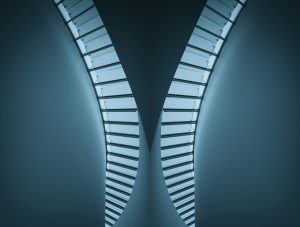 new-pinakothek-of-modern-1601183_1920
